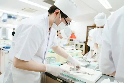 寿司を巻く工程で調理師が集中して具材を並べている場面